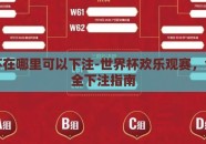 世界杯在哪里可以下注-世界杯欢乐观赛，合法安全下注指南