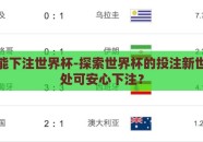 在哪里能下注世界杯-探索世界杯的投注新世界，何处可安心下注？