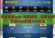 足球世界杯竞猜app-绿茵战场，探索足球世界杯竞猜App的魅力与挑战