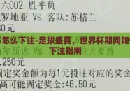 世界杯怎么下注-足球盛宴，世界杯期间如何理性下注指南