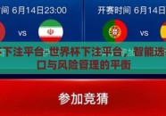 世界杯下注平台-世界杯下注平台，智能选择的窗口与风险管理的平衡