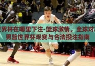 男篮世界杯在哪里下注-篮球激情，全球对决——男篮世界杯观赛与合法投注指南