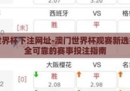 澳门世界杯下注网址-澳门世界杯观赛新选择，安全可靠的赛事投注指南
