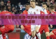 世界杯预选赛竞彩推荐-世界杯预选赛竞彩策略与智慧洞察