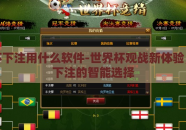 世界杯下注用什么软件-世界杯观战新体验，高效下注的智能选择
