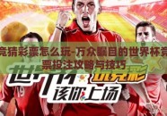 世界杯竞猜彩票怎么玩-万众瞩目的世界杯竞猜，彩票投注攻略与技巧