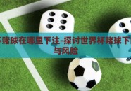 世界杯赌球在哪里下注-探讨世界杯赌球下的选择与风险