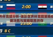 体彩世界杯竞猜分析-体彩世界杯竞猜策略精选，数据决胜与策略取胜并存