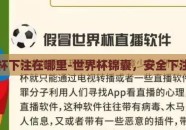 世界杯下注在哪里-世界杯锦囊，安全下注指南