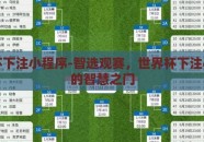 世界杯下注小程序-智选观赛，世界杯下注小程序的智慧之门