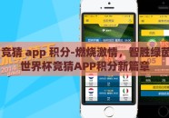 世界杯 竞猜 app 积分-燃烧激情，智胜绿茵，揭秘世界杯竞猜APP积分新篇章