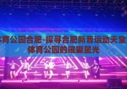 星空体育公园合肥-探寻合肥新晋运动天堂，星空体育公园的璀璨星光