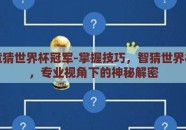 如何竞猜世界杯冠军-掌握技巧，智猜世界杯冠军，专业视角下的神秘解密