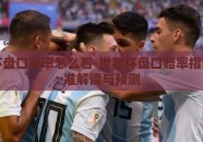 世界杯盘口赔率怎么看-世界杯盘口赔率指南，精准解读与预测