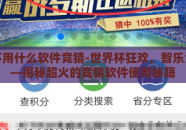 世界杯用什么软件竞猜-世界杯狂欢，智乐竞猜——揭秘超火的竞猜软件使用秘籍