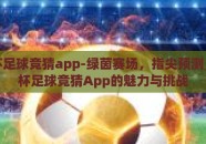 世界杯足球竞猜app-绿茵赛场，指尖预测，世界杯足球竞猜App的魅力与挑战