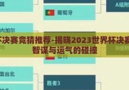 世界杯决赛竞猜推荐-揭晓2023世界杯决赛竞猜，智谋与运气的碰撞