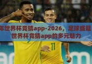 2026年世界杯竞猜app-2026，足球盛筵，解锁世界杯竞猜app的多元魅力