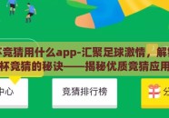 世界杯竞猜用什么app-汇聚足球激情，解锁世界杯竞猜的秘诀——揭秘优质竞猜应用