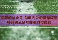 世界杯竞猜的公众号-球场内外的智慧较量，世界杯竞猜公众号的魅力与影响