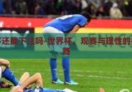 世界杯还能下注吗-世界杯，观赛与理性的投注之舞