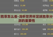世界杯胜率怎么看-浅析世界杯足球胜率分析与预测的重要性