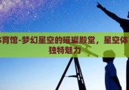 星空体育馆-梦幻星空的璀璨殿堂，星空体育馆的独特魅力