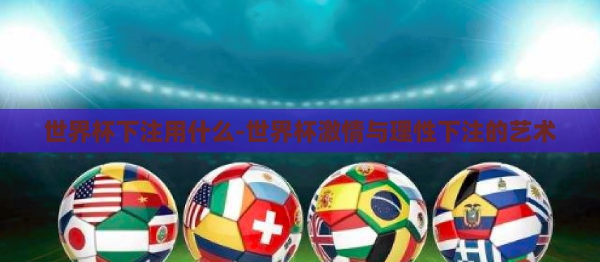 世界杯下注用什么-世界杯激情与理性下注的艺术