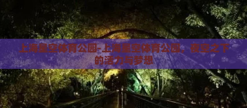 上海星空体育公园-上海星空体育公园,夜空之下的活力与梦想 上海星空体育公园-上海星空体育公园,夜空之下的活力与梦想