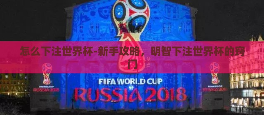 怎么下注世界杯-新手攻略，明智下注世界杯的窍门