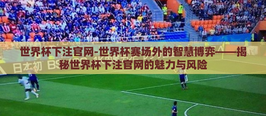 世界杯下注官网-世界杯赛场外的智慧博弈——揭秘世界杯下注官网的魅力与风险