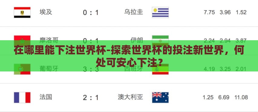 在哪里能下注世界杯-探索世界杯的投注新世界，何处可安心下注？