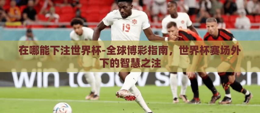在哪能下注世界杯-全球博彩指南,世界杯赛场外下的智慧之注 在哪能下注世界杯-全球博彩指南,世界杯赛场外下的智慧之注