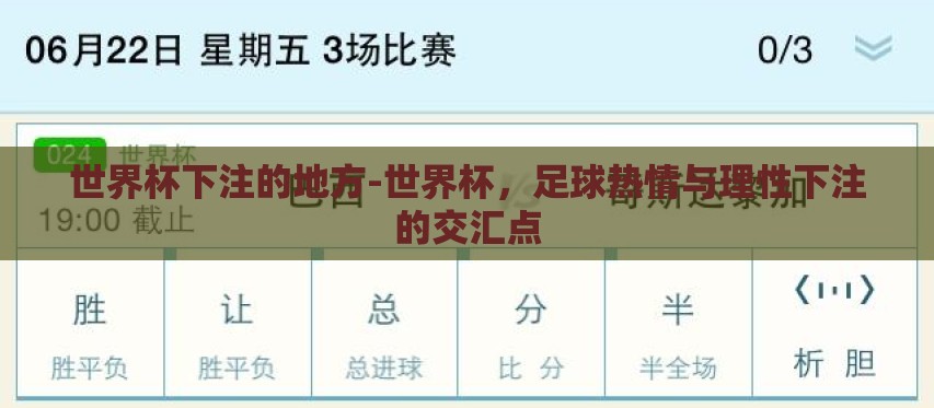 世界杯下注的地方-世界杯，足球热情与理性下注的交汇点