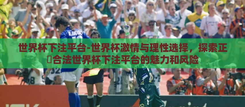 世界杯下注平台-世界杯激情与理性选择，探索正規合法世界杯下注平台的魅力和风险