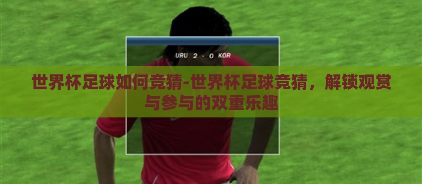 世界杯足球如何竞猜-世界杯足球竞猜，解锁观赏与参与的双重乐趣