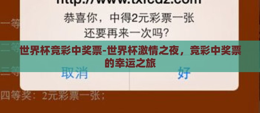 世界杯竞彩中奖票-世界杯激情之夜，竞彩中奖票的幸运之旅