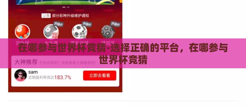 在哪参与世界杯竞猜-选择正确的平台，在哪参与世界杯竞猜