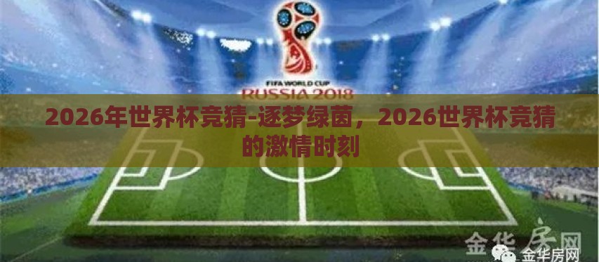 2026年世界杯竞猜-逐梦绿茵，2026世界杯竞猜的激情时刻