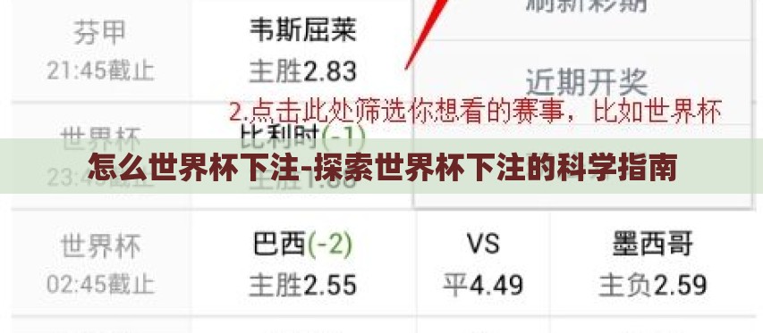 怎么世界杯下注-探索世界杯下注的科学指南