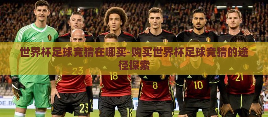 世界杯足球竞猜在哪买-购买世界杯足球竞猜的途径探索