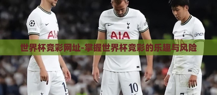 世界杯竞彩网址-掌握世界杯竞彩的乐趣与风险