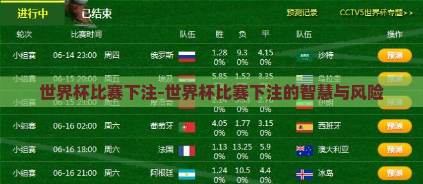 世界杯比赛下注-世界杯比赛下注的智慧与风险