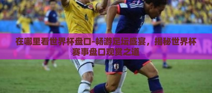 在哪里看世界杯盘口-畅游足坛盛宴,揭秘世界杯赛事盘口观赏之道 在哪里看世界杯盘口-畅游足坛盛宴,揭秘世界杯赛事盘口观赏之道