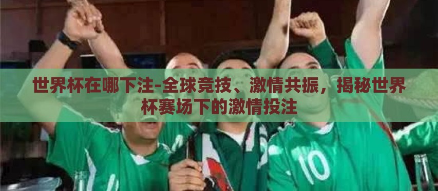 世界杯在哪下注-全球竞技、激情共振，揭秘世界杯赛场下的激情投注