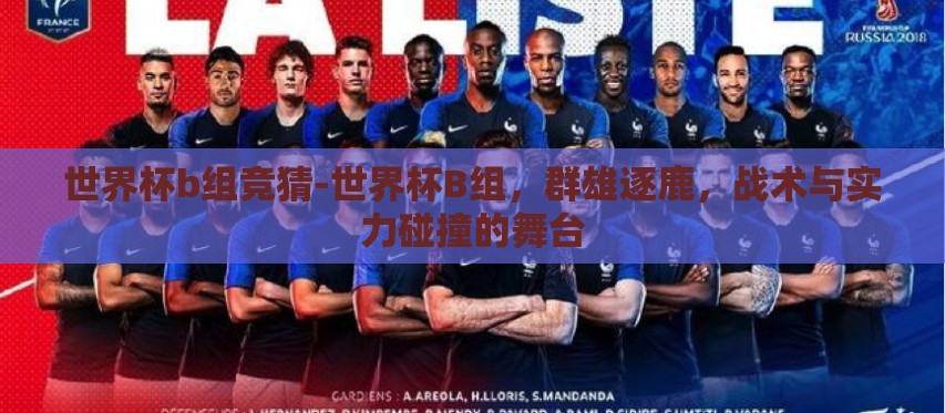 世界杯b组竞猜-世界杯B组，群雄逐鹿，战术与实力碰撞的舞台