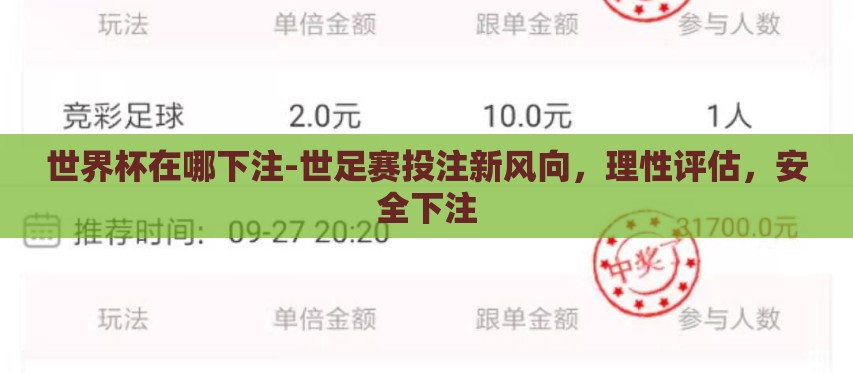 世界杯在哪下注-世足赛投注新风向，理性评估，安全下注