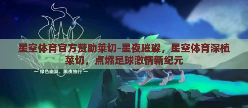星空体育官方赞助莱切-星夜璀璨，星空体育深植莱切，点燃足球激情新纪元