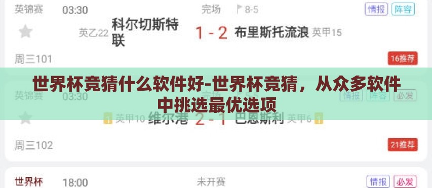 世界杯竞猜什么软件好-世界杯竞猜，从众多软件中挑选最优选项