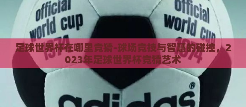 足球世界杯在哪里竞猜-球场竞技与智慧的碰撞，2023年足球世界杯竞猜艺术